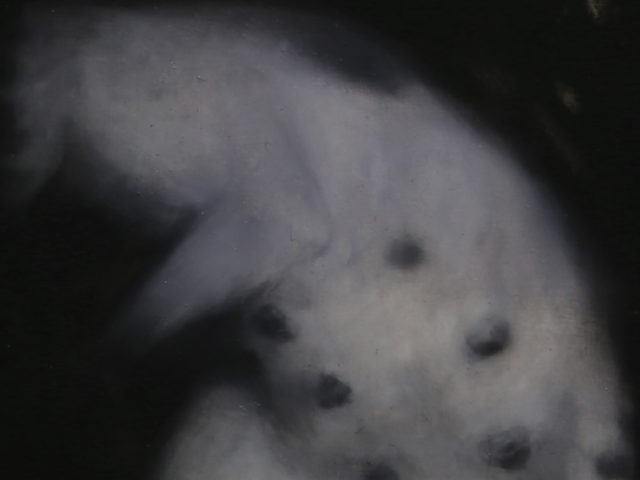 Life out of Focus . 映日常霧視” 張儀君個人作品展 EXHIBITIONS