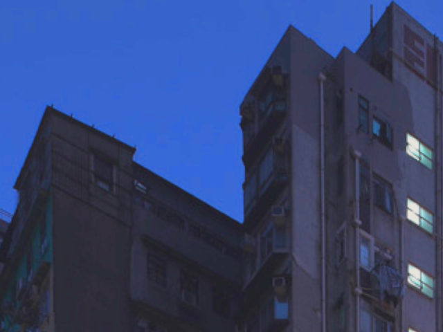 Conservation Management Plan in Hong Kong OTHER ACTIVITIES