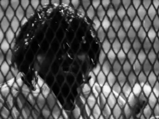 Precious – Domestic Violence – VI Ciclo de Cinema CRED-DM OUTRAS ACTIVIDADES