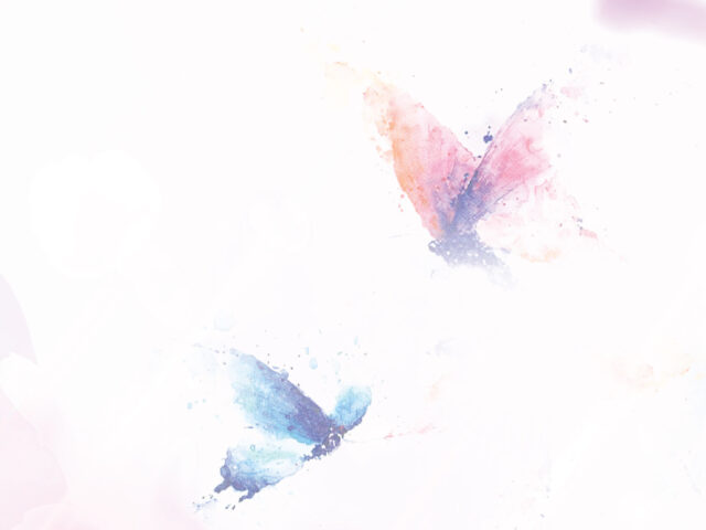 Butterfly Lovers, Eternal Love – 2021.07.29 EXPOSIÇÕES