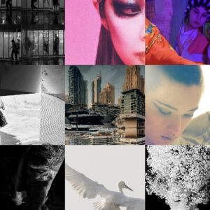 EXHIBITIONS