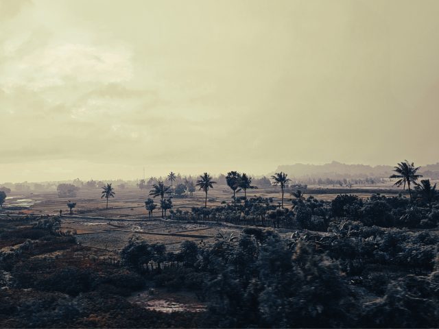 A Voyage to the Land of the Crocodile – 2025.07.22 EXHIBITIONS