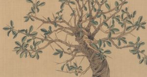 展覽