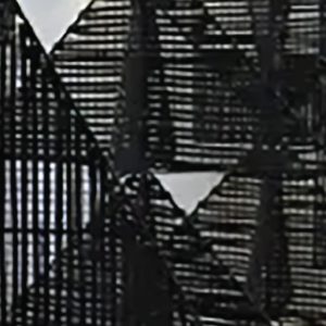 CONFERENCES / DEBATES