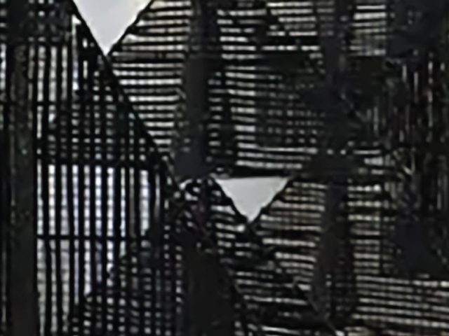 CONFERENCES / DEBATES