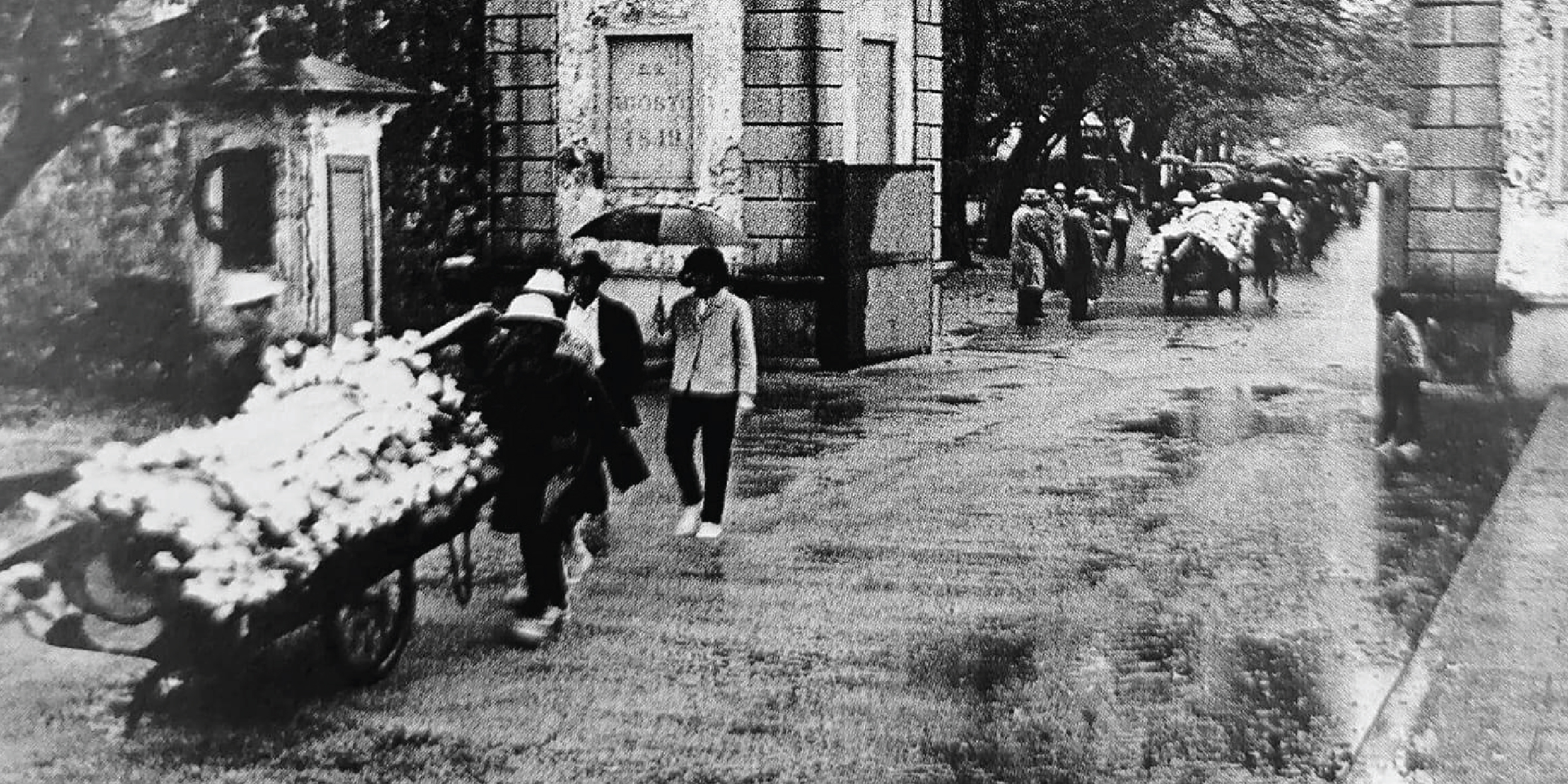 CONFERÊNCIAS / DEBATES