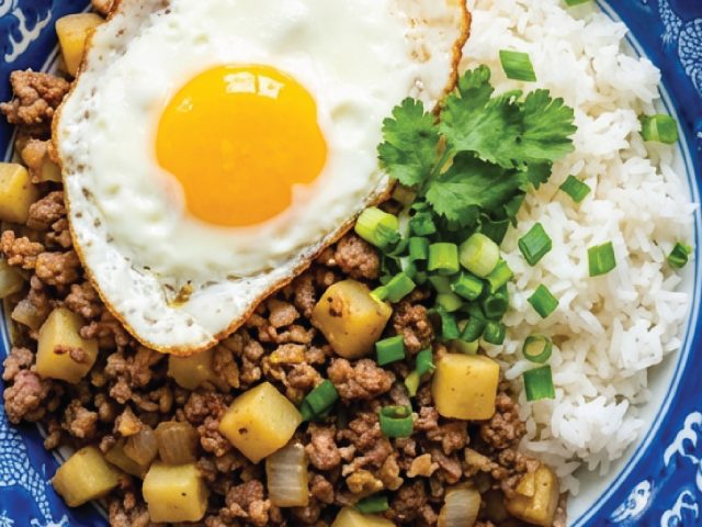 CONFERENCES / DEBATES