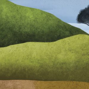 RELEASES / PRESENTATIONS