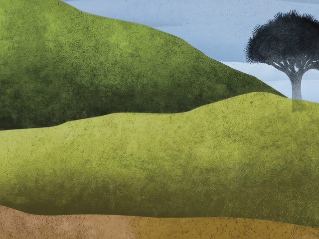 RELEASES / PRESENTATIONS