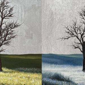 EXHIBITIONS
