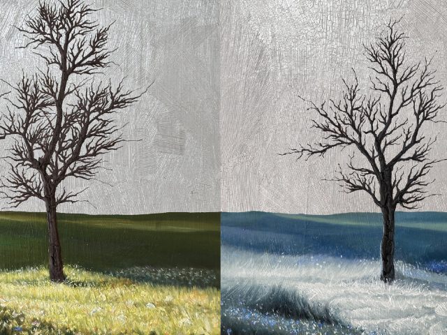 EXHIBITIONS